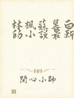 林枫苏慕白穿越的小说最新章节