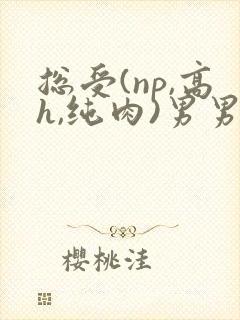 总受(np,高h,纯肉)男男文