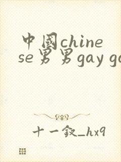 中国chinese男男gay gay激情av