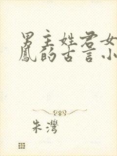 男主姓君女主姓凤的古言小说