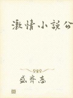 激情小说公爹封面