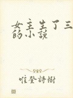 女主生了三胞胎的小说