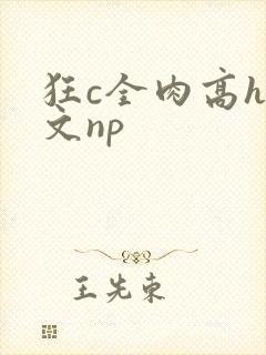 狂c全肉高h辣文np