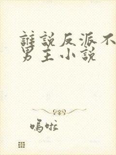 谁说反派不能当男主小说封面