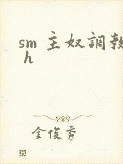 sm 主奴调教 h封面