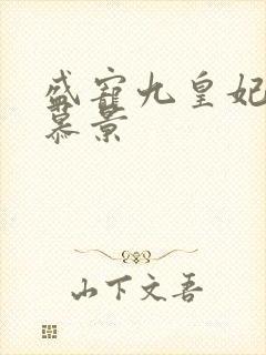 盛宠九皇妃轩辕慕景封面