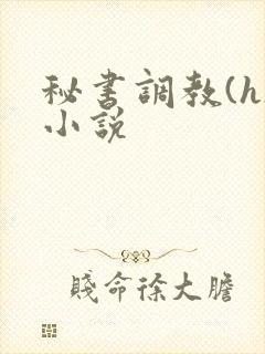 秘书调教(h)小说