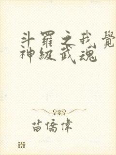 斗罗之我觉醒了神级武魂