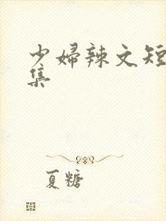 少妇辣文短篇合集