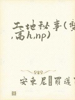 工地秘事(双性,高h,np)封面