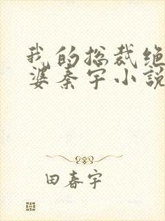 我的总裁绝色老婆秦宇小说免费阅读封面