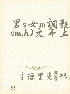 男s女m调教(sm,h)文年上封面