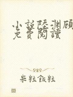 小说陆渊顾青凰免费阅读封面