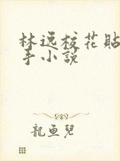 林逸校花贴身高手小说封面