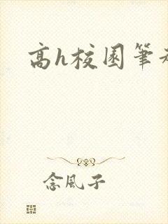 高h校园笔趣阁封面