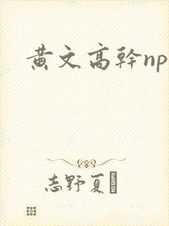 黄文高干np