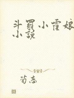 斗罗小霍娘同人小说
