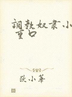 调教奴隶小说虐 重口