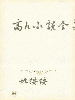 高h小说全是肉封面