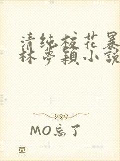 清纯校花暴露记林梦颖小说免费阅读封面