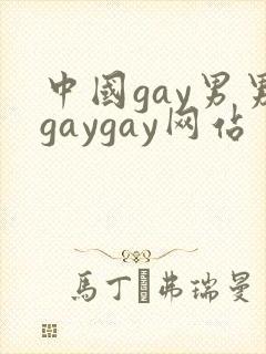 中国gay男男gaygay网站