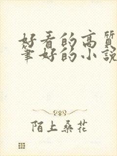 好看的高质量文笔好的小说