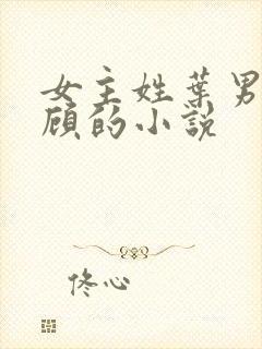 女主姓叶男主姓顾的小说