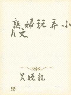 熟妇玩弄小太正h文