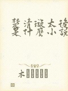 楚清璇太后太监是什么小说封面