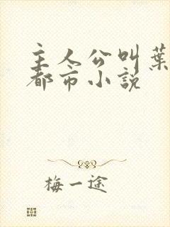 主人公叫叶枫的都市小说