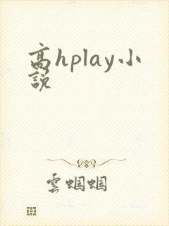 高hplay小说