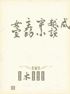 女主穿越成了外室的小说