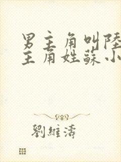 男主角叫陆离女主角姓苏小说