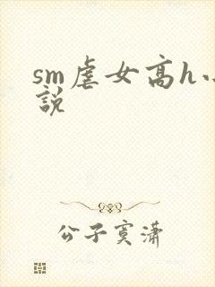 sm虐女高h小说