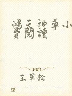 鸿天神尊小说免费阅读