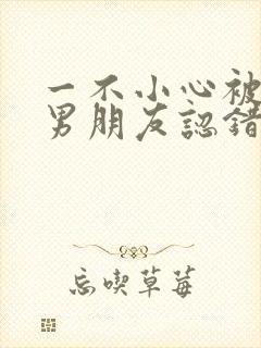 一不小心被室友男朋友认错后小说