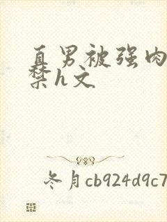 直男被强肉到失禁h文