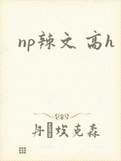 np辣文 高h