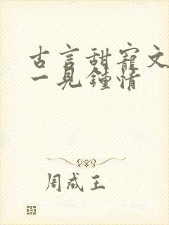 古言甜宠文帝王一见钟情