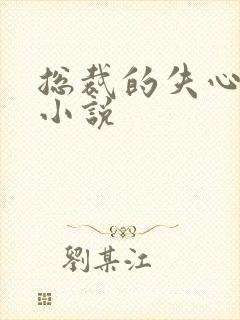 总裁的失心新娘小说