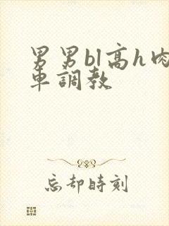 男男bl高h肉车调教