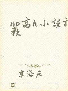 np高h小说调教