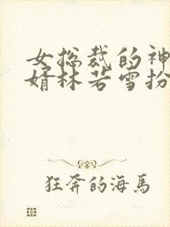 女总裁的神豪女婿林若雪扮演者封面