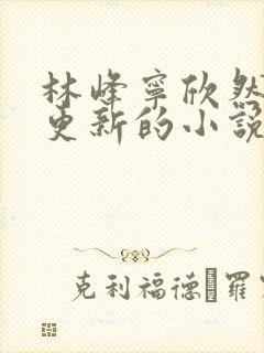 林峰宁欣然超前更新的小说