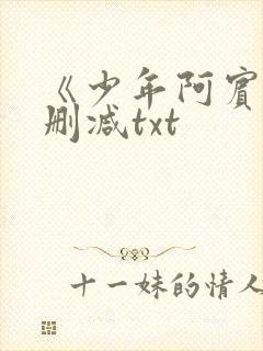 《少年阿宾》无删减txt封面