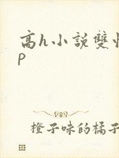 高h小说双性np封面