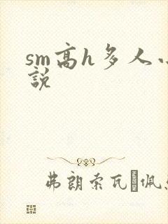 sm高h多人小说