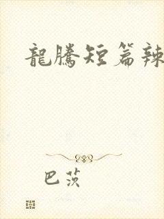 龙腾短篇辣文