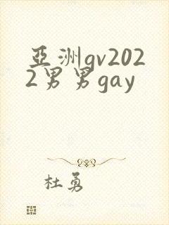 亚洲gv2022男男gay