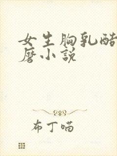 女生胸乳酷刑折磨小说